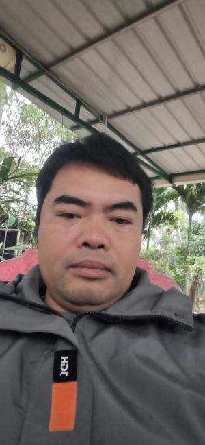 ����Ƭ�ĺ��v