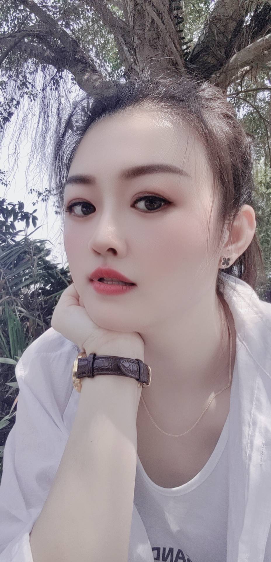 ����Ƭ�ĺ�(ji��n)�v