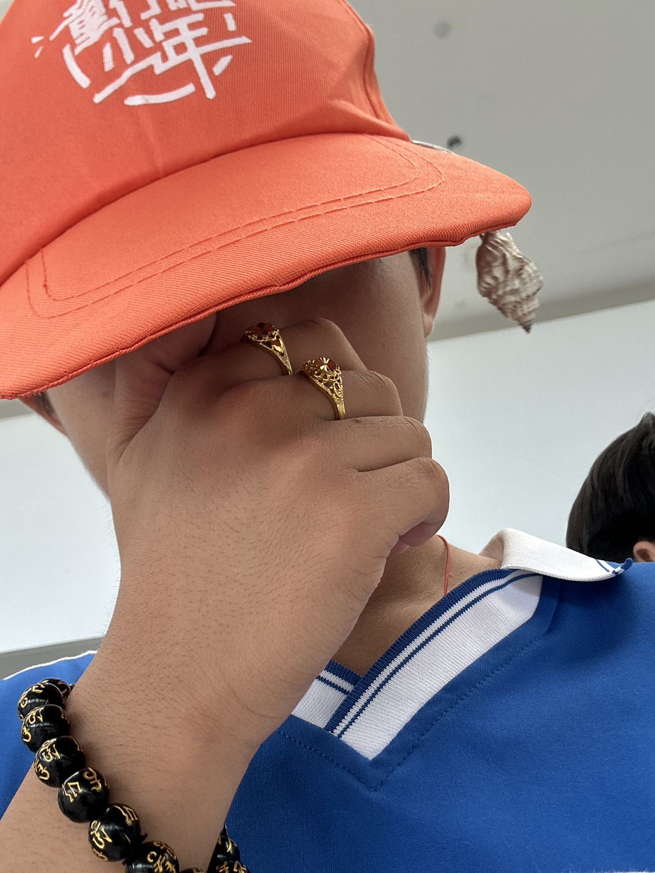 ����Ƭ�ĺ��v