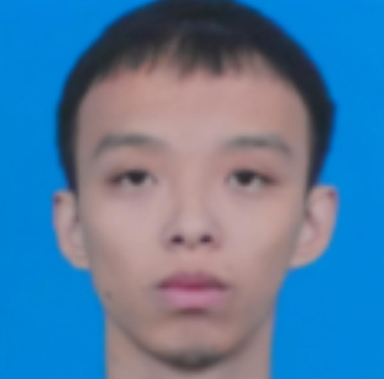 ����Ƭ�ĺ��v